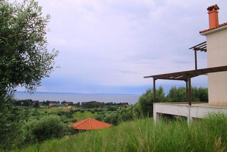 Realty photo 2