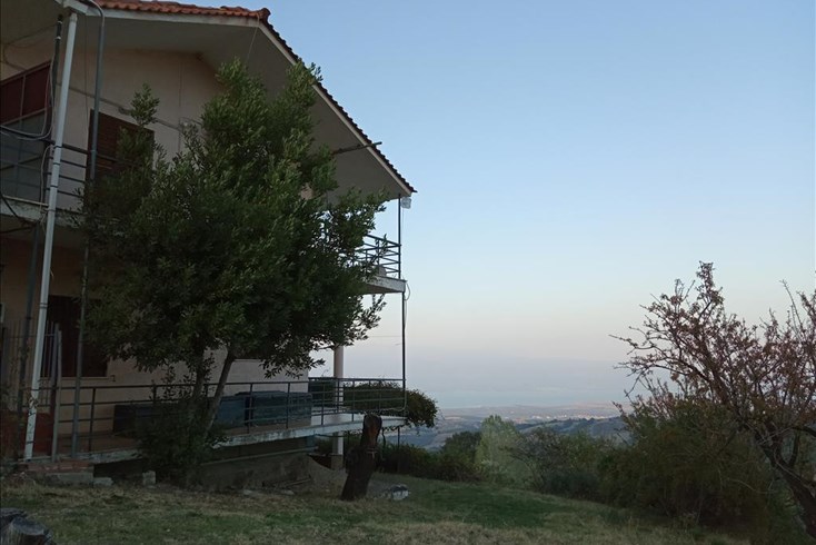 Realty photo 2