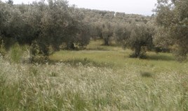 Land 3150 m² auf Sithonia (Chalkidiki)