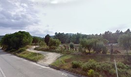 Zemljište 15500 m² na Sitoniji (Halkidiki)