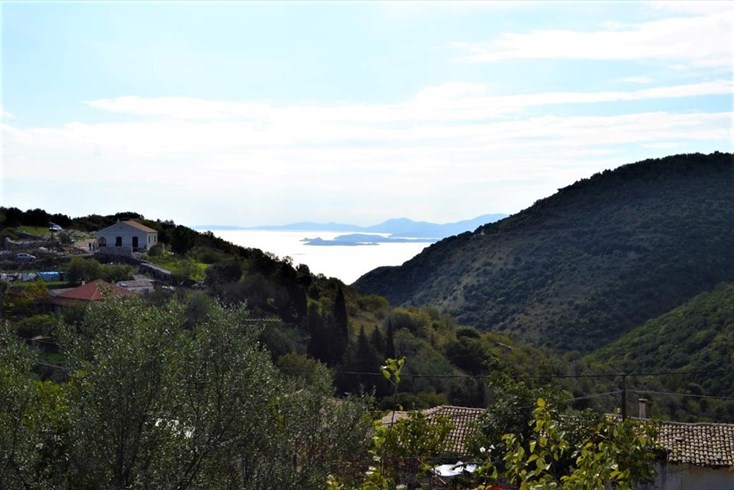 Realty photo 2