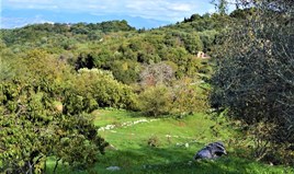 Land 1210 m² auf Korfu