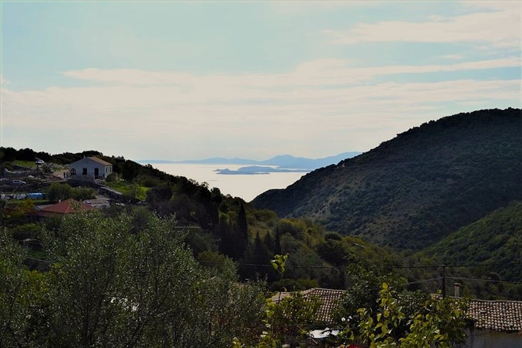 Realty photo 2