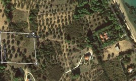Land 7000 m² in Sithonia, Chalkidiki