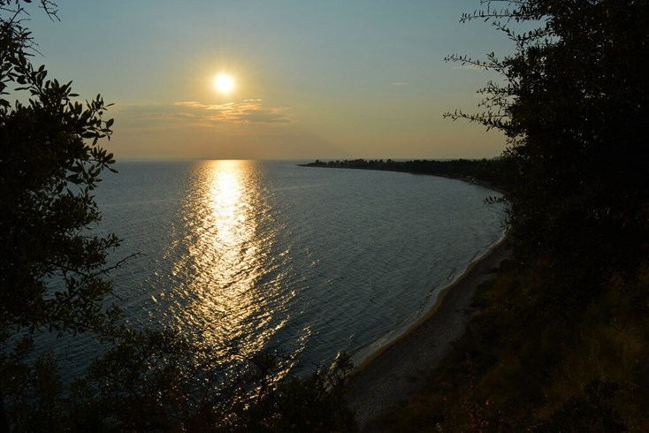 Realty photo 1