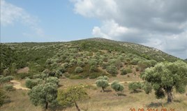Land 7000 m² auf Sithonia (Chalkidiki)