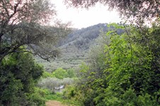 Property 4219 photo 11