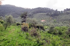 Property 4219 photo 14