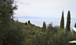 Land 10000 m² in Corfu