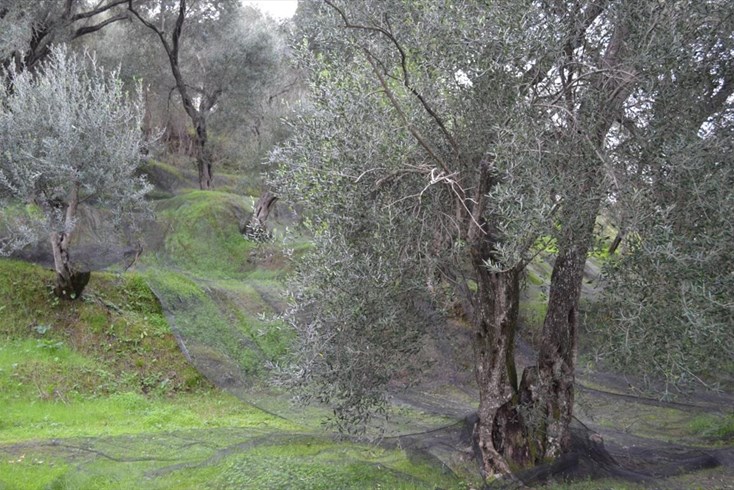 Realty photo 3