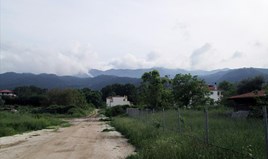 Парцел 1001 m² на Тасос