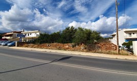Land 1654 m² auf Kreta