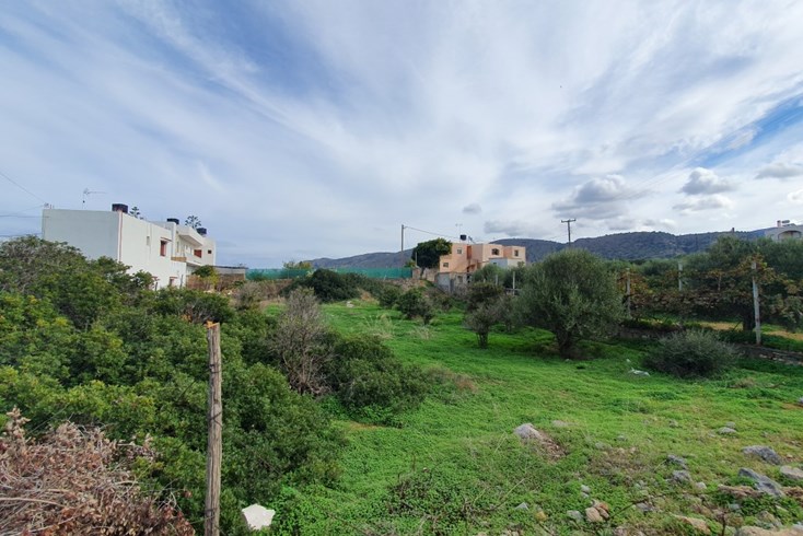 Realty photo 3