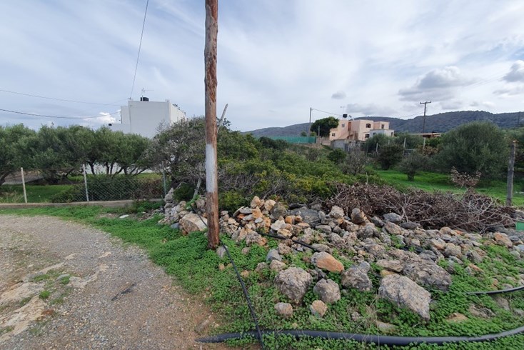 Realty photo 2