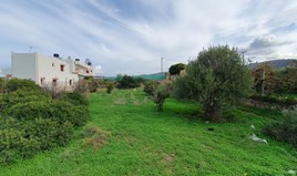 Land 1034 m² in Crete