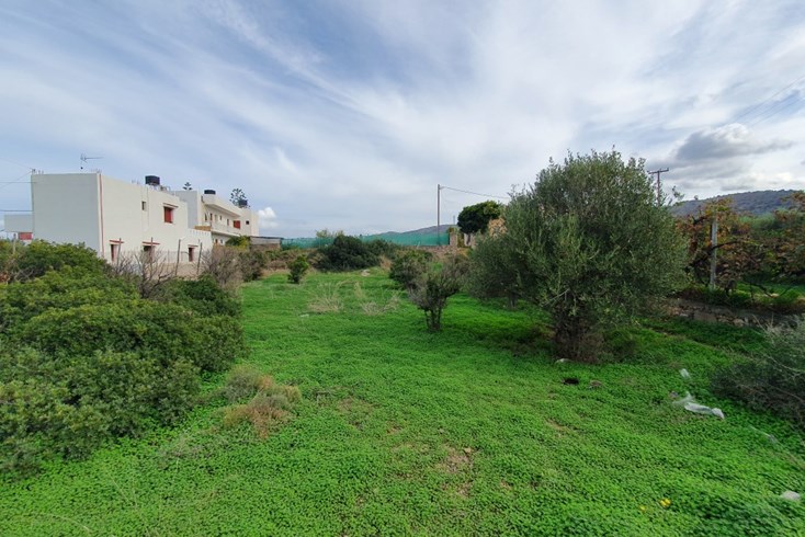 Realty photo 1