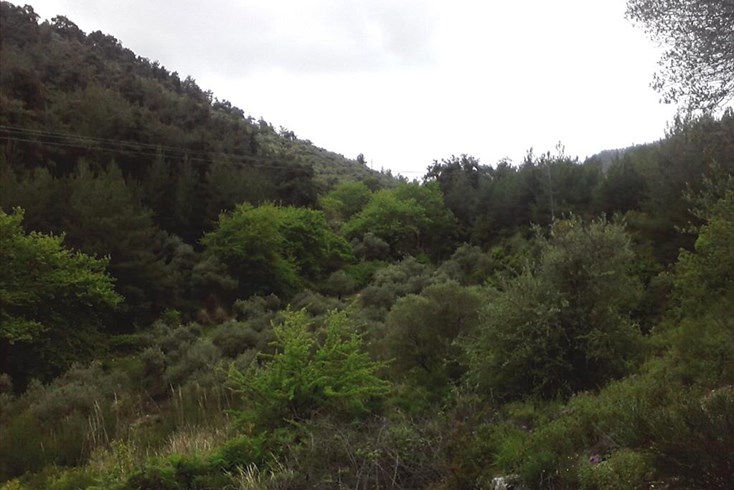 Realty photo 2