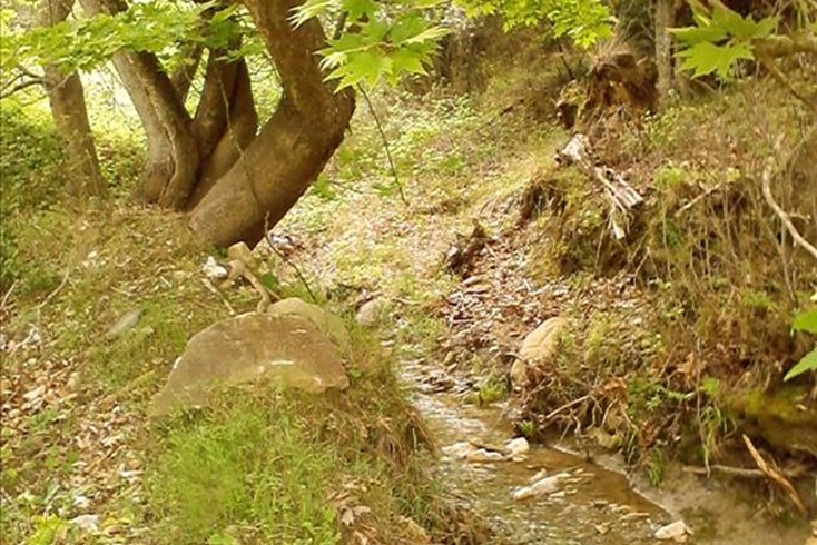 Realty photo 3