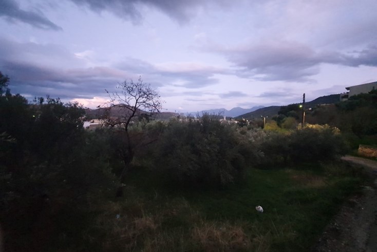 Realty photo 2