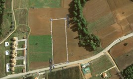 հողատարածք 8150 m² Խալկիդիկի-Կասսանդրայում