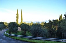 Property 42299 photo 2