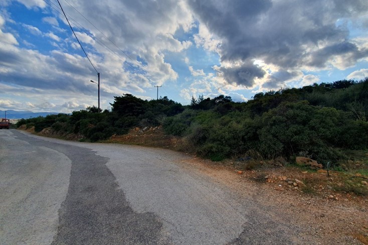 Realty photo 2
