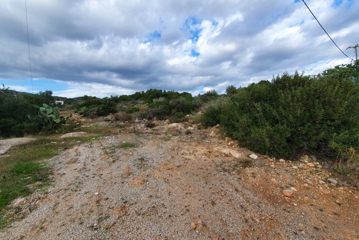 Realty photo 3