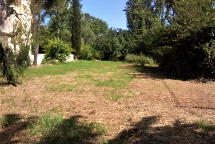 Realty photo 1