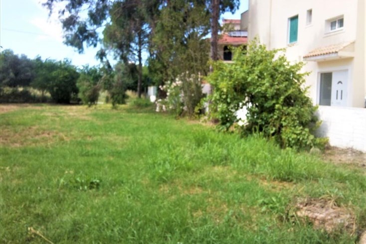 Realty photo 3