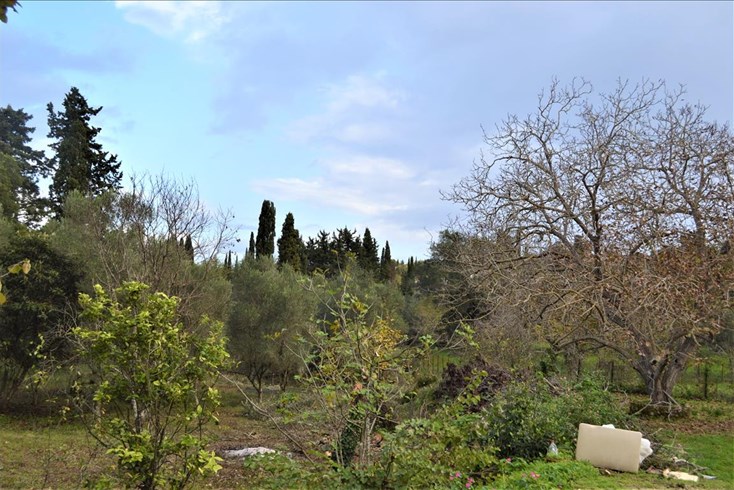 Realty photo 2
