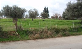 Land 7445 m² in Western Peloponnese