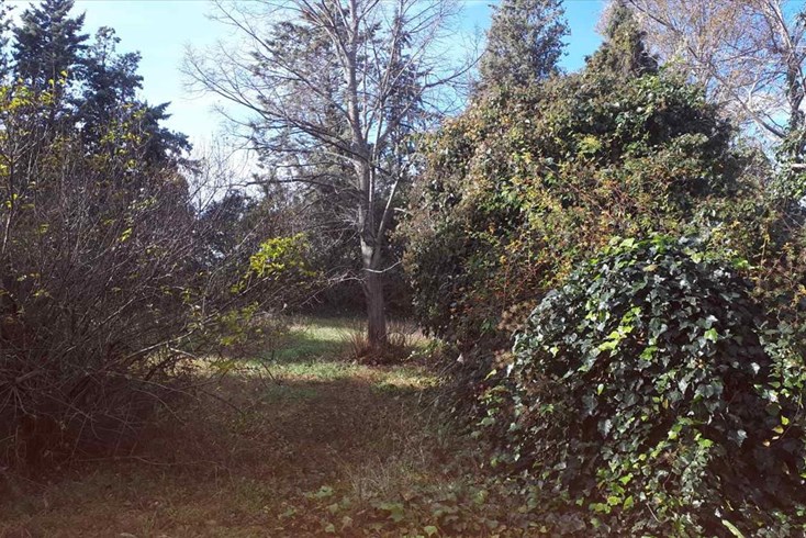 Realty photo 2