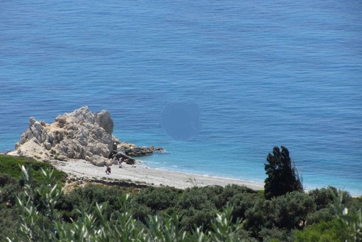 Realty photo 2