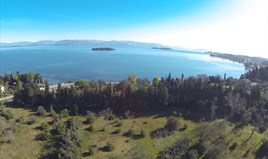 Land 11000 m² in Corfu