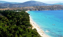 հողատարածք 25000 m² Արեւելյան Peloponnese
