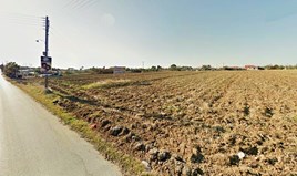 Land 10000 m² in Chalkidiki