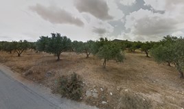 Land 6415 m² in Crete