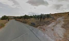 Terrain 17525 m² en Crète