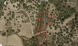 Парцел 4760 m² на Крит