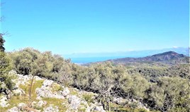 Land 8000 m² in Corfu