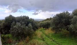 Land 2500 m² auf Kreta