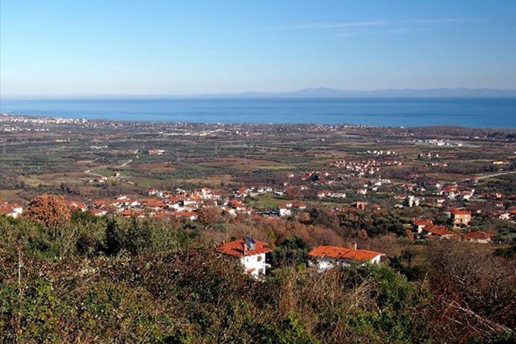 Realty photo 2
