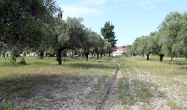 Arsa 2900 m² Kassandra’da (Chalkidiki)