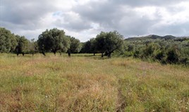 სასტუმრო 2700 m² კასანდრაზე (ქალკიდიკი)
