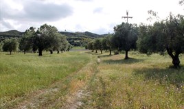 Land 5500 m² in Kassandra, Chalkidiki