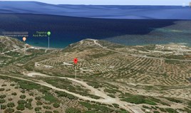 Land 12520 m² auf Kreta