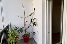 Property 42941 photo 10
