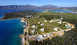 Zemljište 14000 m² na Peloponezu
