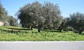 Land 4776 m² in Crete
