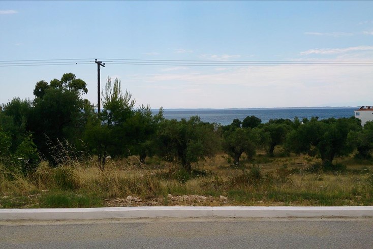 Realty photo 2